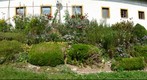 Flower Garden