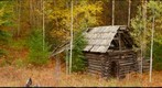 Moul Creek log cabin, Wells Gray Park