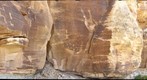 Petroglyphs Along Montezuma Creek