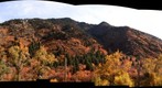 Fall Colors in Big Cottonwood canyon