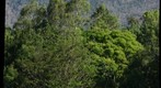nm2102 gigapan image ross river