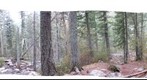 Montana Panorama