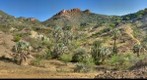 Dubural Hills Gigaplot Sep 09 - Northern Jaguar Reserve