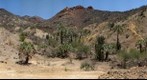 Dubural Hills Gigaplot Jun 08 - Northern Jaguar Reserve