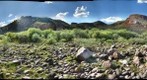 Rio Aros Willow Gigaplot Sep 09 - Northern Jaguar Reserve
