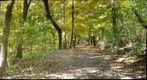 Frick Park path