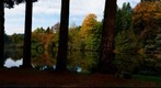 Arboretum de PEZANIN 71 France