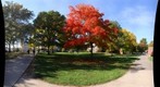 whereRU: In Front of Scott Hall in Autumn