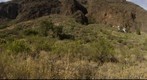 Barranco de Guayadeque. Isla de Gran Canaria