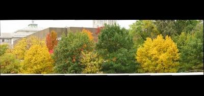35288-400x189