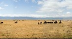 Ngorongoro Crater