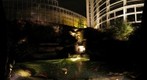 Night scene