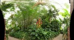 Phipps Conservatory Chihuli