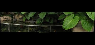 35364-400x189
