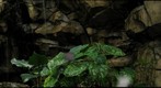 Waterfall at Phipps