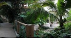 Phipps Conservatory