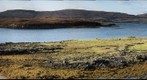 Dunvegan Seals, Macleod's Tables, Isle of Skye