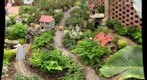 Model Train 'Garden', Phipps Conservatory (Pittsburgh, PA)