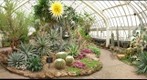 Phipps Desert House