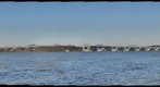 Wilson Bridge GigaPan from Belle Haven Marina Park