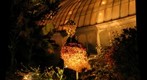 Phipps Discovery Garden at Night