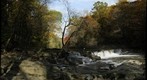 Wissahickon Dam Above Valley Green