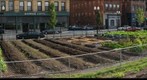 Munroe Street Farm - Lynn, MA