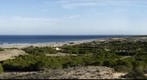 arenales