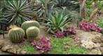 Desert Room - Phipps Conservatory