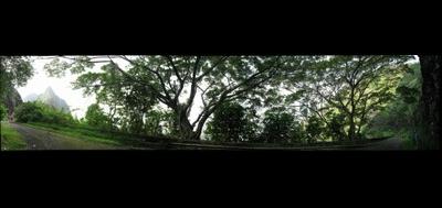 35711-400x189