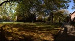whereRU: Voorhees Hall in Autumn
