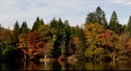Pezanin Arboretum