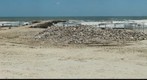 galveston