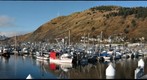 St Paul Harbor Kodiak