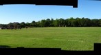 Rice Rugby: Emily Watches Angelo State University versus Rice University Owls Rugby Team - a 360-Degree Panorama