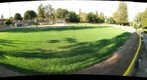 Grandma Polly Field Sebastopol