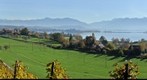 Rapperswil seen from Feldbach