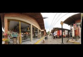 36036-274x189