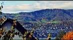 Albis: Out of the Window