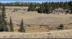 MountainMeadow03Nov2009