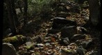 Wissahickon path