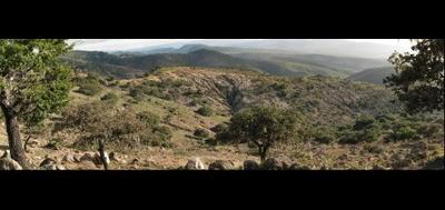 36219-400x189