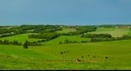 New Glasgow Farms