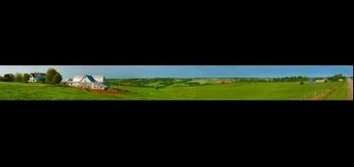 3627-400x189