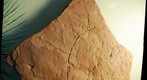 Prehistoric Trackways National Monument.