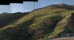 Post-Fire Wildflowers in San Diego