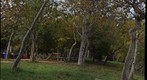Wilderness Park
