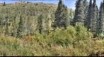 Early Fall day on the Dog Lake trail, Millcreek, Utah