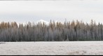 McGee Meadow