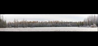 36465-400x189